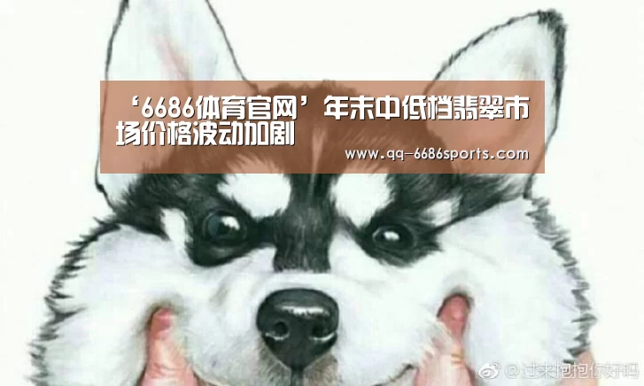 6686体育官网